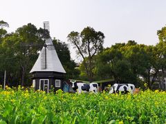 -大宁公园