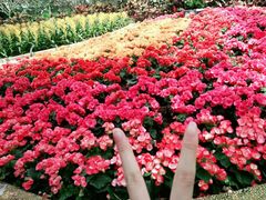 -南山植物园