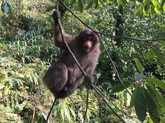 -西岭雪山大飞水景区