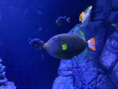 -成都浩海立方海洋公园