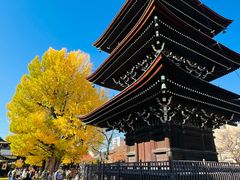 -医王山·飞騨国分寺