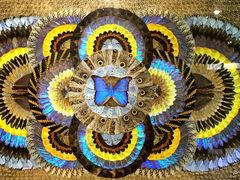 -上海昆虫博物馆