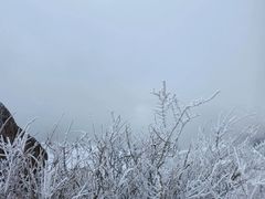 -里口山风景名胜区