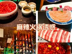 -大隐·成都火锅Bistro(合生麒麟新天地店)