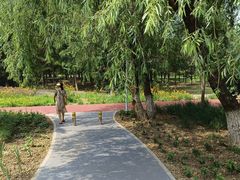 -绿堤公园
