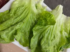 生菜-秦记南岗鱼锅(珠吉路店)