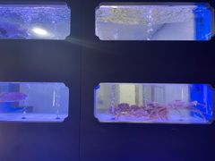 -澜棠海鲜(余姚阳明古镇店)