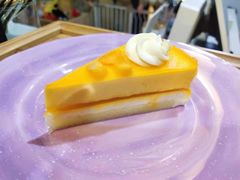 -Husky Go! 哈士奇体验馆·宠物咖啡厅狗咖