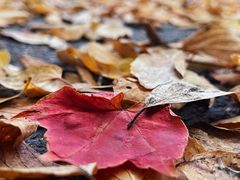 -青岛邮电博物馆