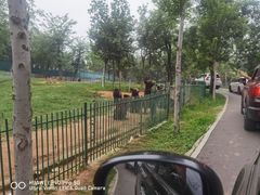 -秦皇岛野生动物园