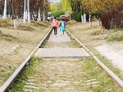 -永定河休闲森林公园