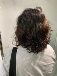 -潘多拉Hairsalon