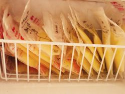 -皇家月府月子中心(沈阳店)