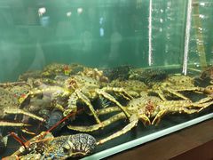 -珍记海鲜酒家(嵩山路店)