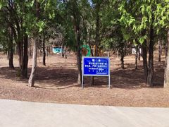 -北京西山国家森林公园