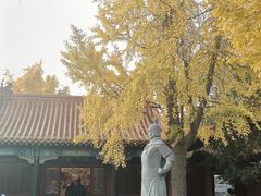 -戏马台景区