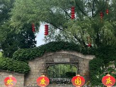 -团结湖公园