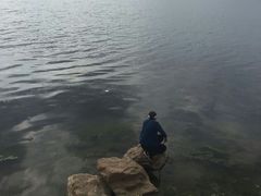 -丁香湖公园