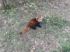 -宁波野生动物园