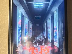 -Mr.Fox狐狸先生超级密室(南山店)