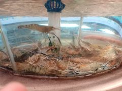 -南海底小海鲜·湘菜(鲁巷吴家湾店)