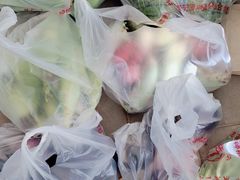 -庞各庄翠芳园西瓜蔬菜基地采摘园