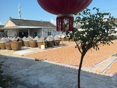 -苏州市吴中区光福窑上花果蜜饯厂