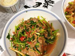 香菜炒牛肉-壹盏灯(蚂蚁工房店)