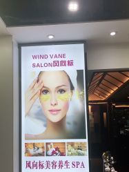 -风向标WIND VANE SALON