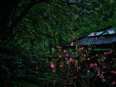 -桃花涧