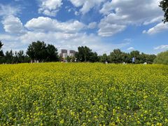 -长白岛森林公园