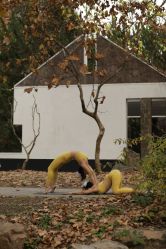 -亚太瑜伽普拉提学院