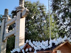 -天津妈祖文化园