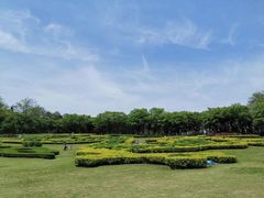 -宜兴龙背山森林公园