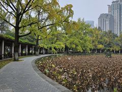 -四川大学(华西校区)