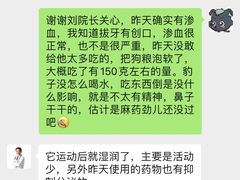 -美联众合动物医院·24h转诊中心