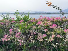 -福建鲤鱼洲酒店