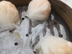 -禧座港式餐厅(星河店)