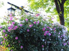 -西安汉城湖景区