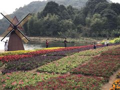 -广州市石门国家森林公园