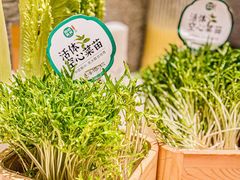 -阳坊胜利涮羊肉(阳坊总店)