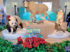 -陕西自然博物馆