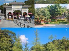 -广州市帽峰山景区