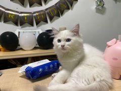 -壹点壹客·生日蛋糕(南山店)