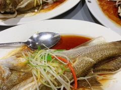 -百年银屏蚝烙·潮汕菜·非遗(乐山店)