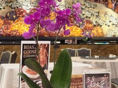 -潮江春(阳光店)