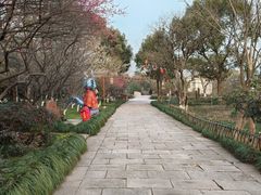 -西溪国家湿地公园