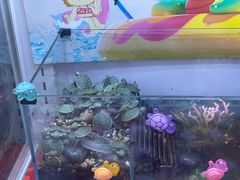 -汤姆熊欢乐世界(滨江店)