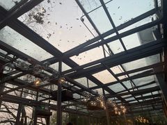 -星巴克(西湖天地店)