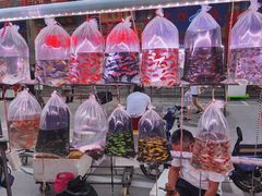 -华声天桥民俗文化园